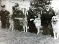 Canine Division